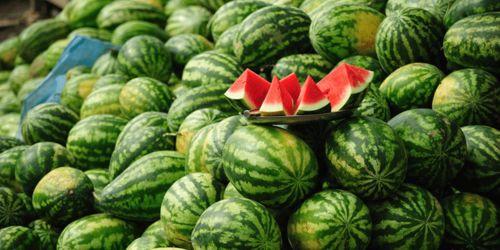 兽餐1西瓜在线观看,一场惊心动魄的冒险之旅