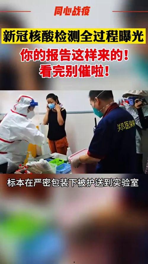 核酸爆料视频大全,视频大全背后的真相与争议 第2张 核酸爆料视频大全,视频大全背后的真相与争议 第2张