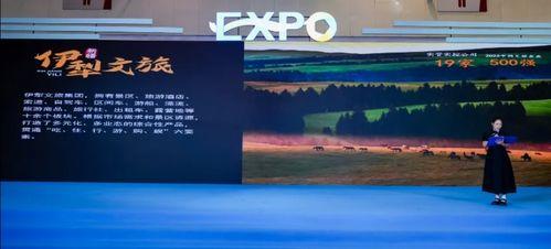 伊犁文旅局爆料新闻最新,探寻神秘古丝绸之路的瑰宝之旅 第2张 伊犁文旅局爆料新闻最新,探寻神秘古丝绸之路的瑰宝之旅 第2张