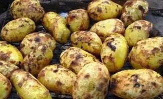 龙在线观看土豆,揭秘热门剧集背后的制作故事