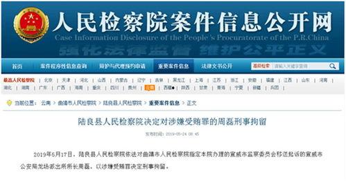 最新案件爆料信息大全,揭秘背后真相与惊人内幕